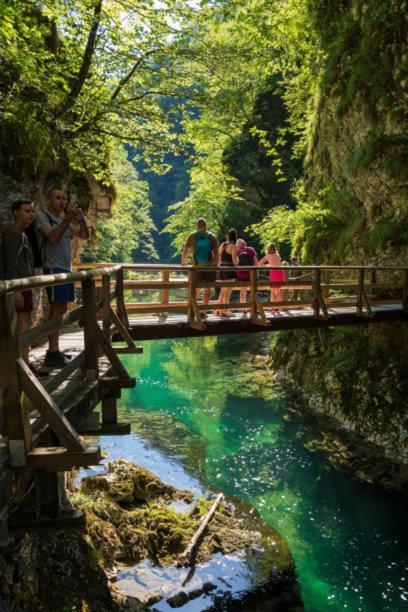 Garden Park Campsite Radovljica