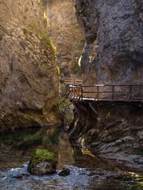 Garden Park Campsite Radovljica